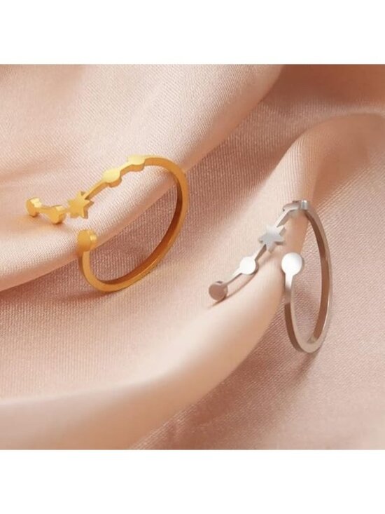 Aries Ring Silver Adjustable Zodiac Sign Ring - Eleganzia  Aries Silver Adjustable Zodiac Sign Constellation Stainless Steel Ring
